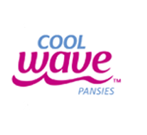 Cool Wave™ Pansy