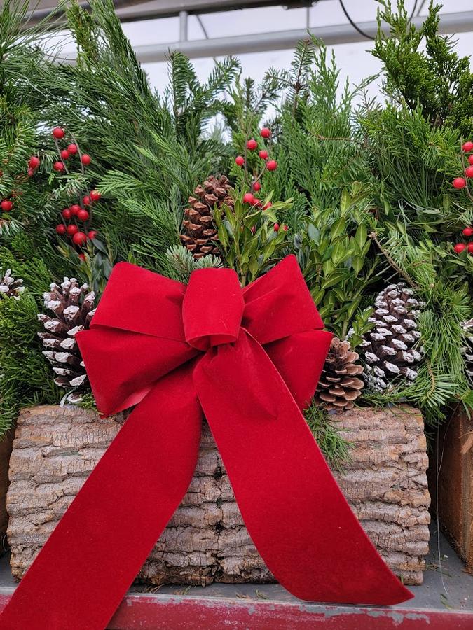 Christmas Log Box 