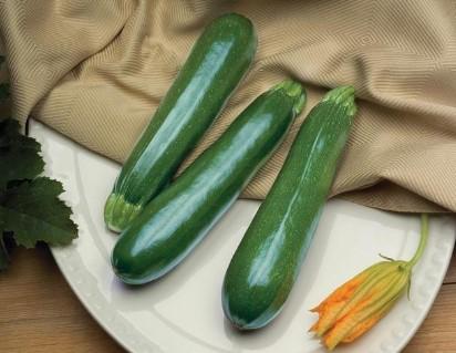 Zucchini Green 