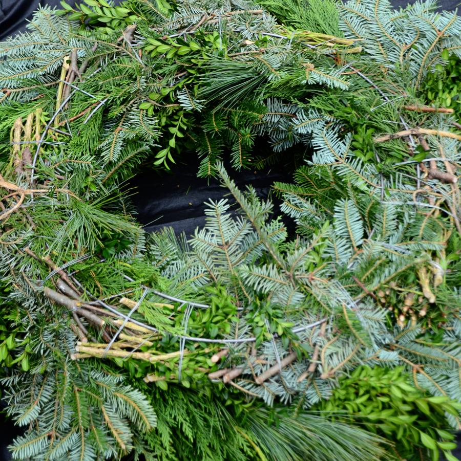 Christmas Mixed Greens Wreath 